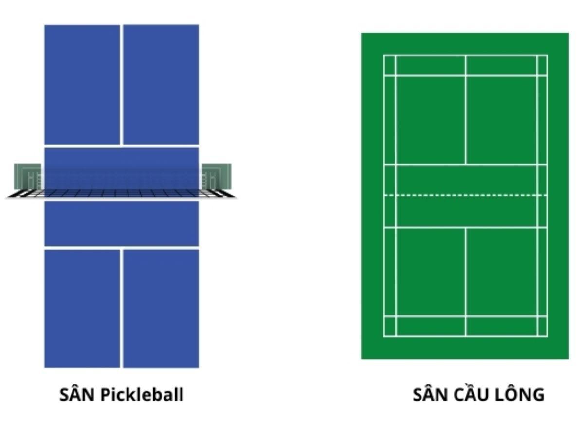 Kích thước sân Pickleball và sân cầu lông có nhiều điểm tương đồng nhưng khác về khu vực Kitchen.